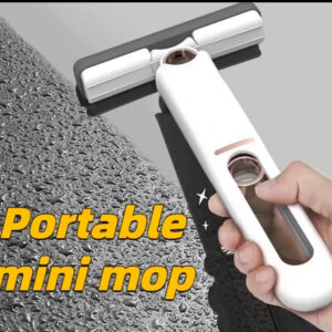 Portable Mini Sponge Squeegee