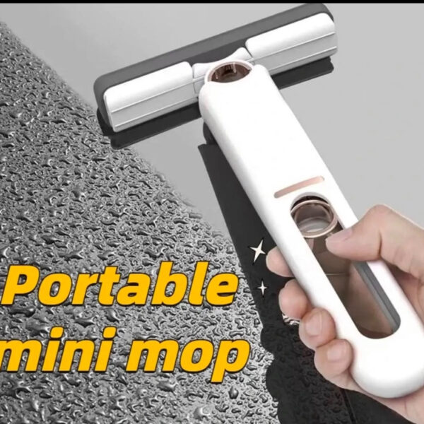Portable Mini Sponge Squeegee
