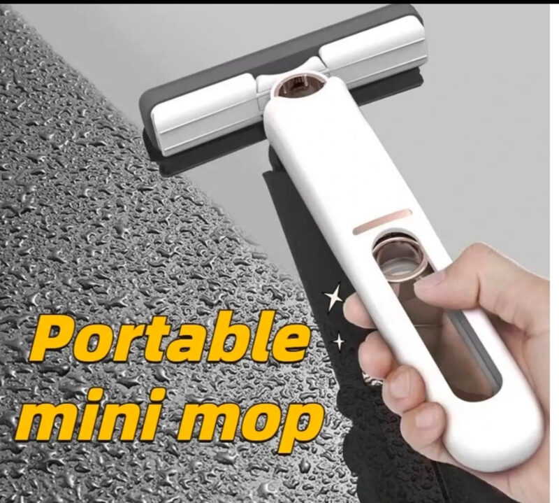 Portable Mini Sponge Squeegee