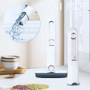 Portable Mini Mop Sponge, Glass and Window Wiper