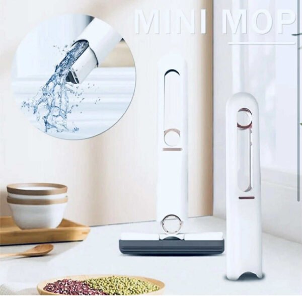 Portable Mini Mop Sponge, Glass and Window Wiper